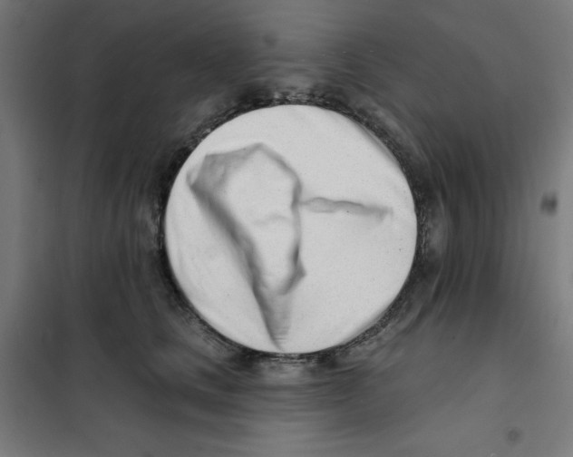 X0000101180661200807250941