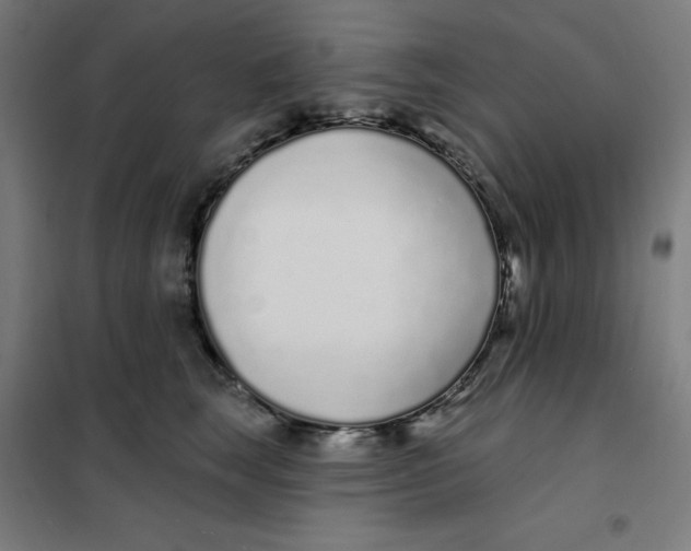 X0000101180663200807250941