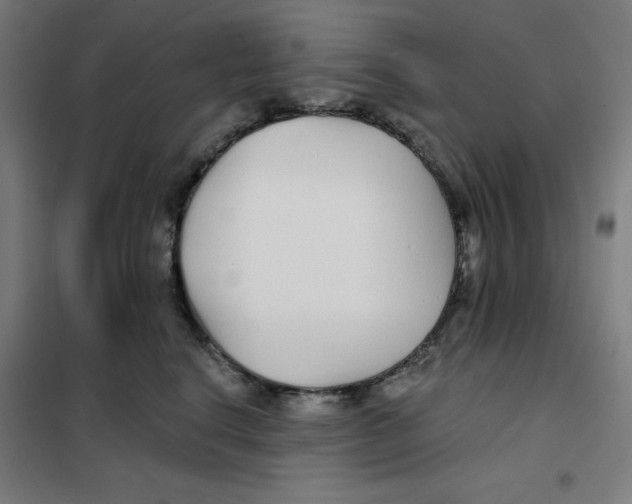 X0000101180664200807250941