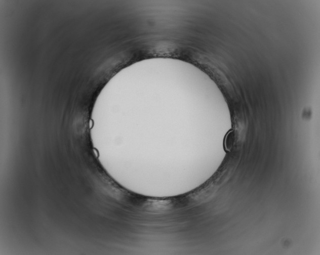 X0000101180665200807250941