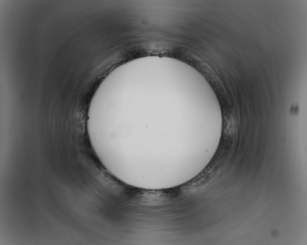 X0000101180666200807250941