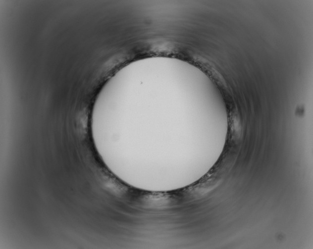 X0000101180668200807250941