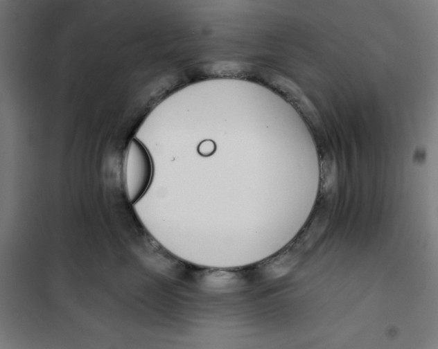 X0000101180669200807250941