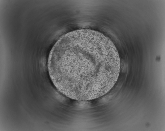 X0000101180670200807250941
