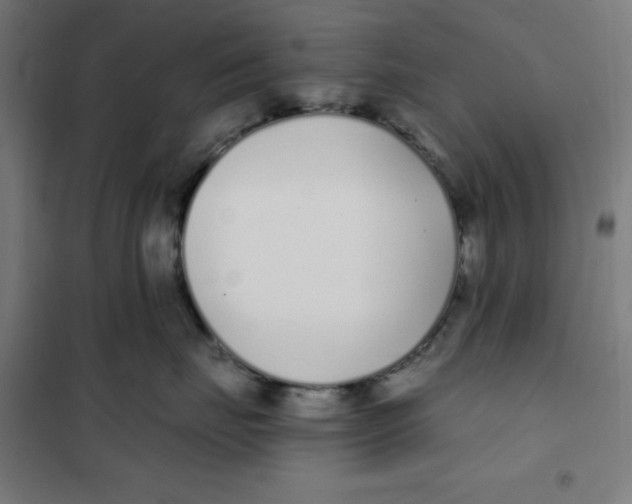 X0000101180671200807250941