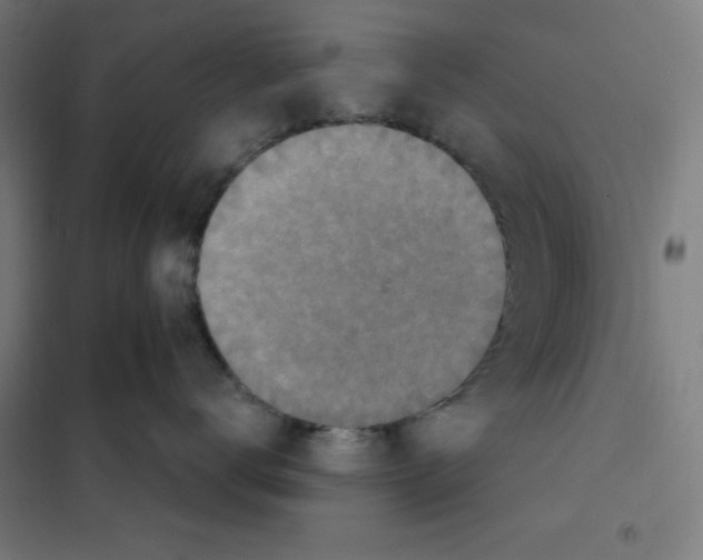 X0000101180672200807250941