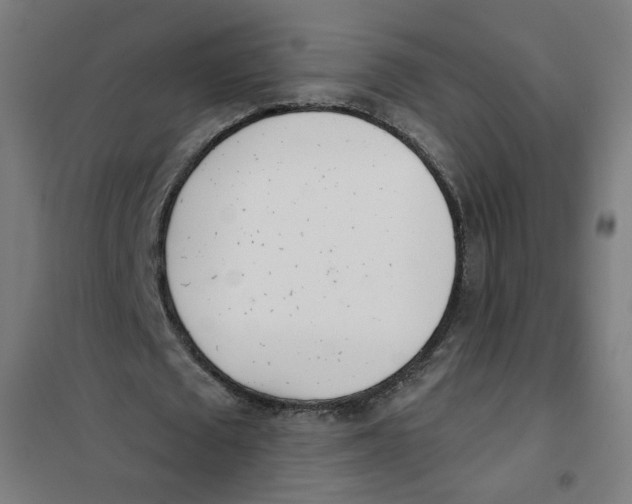 X0000101180673200807250940