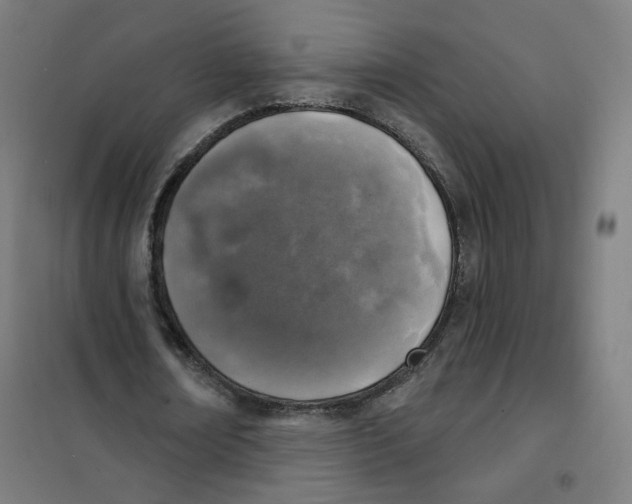 X0000101180674200807250940