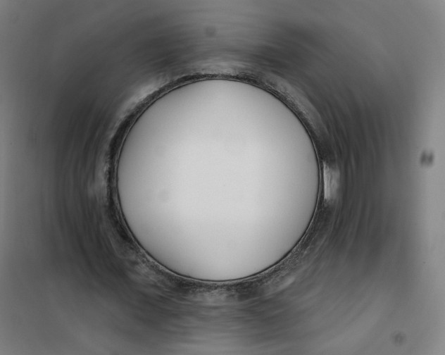 X0000101180675200807250940