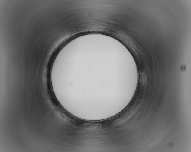 X0000101180676200807250940