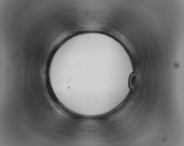 X0000101180677200807250940