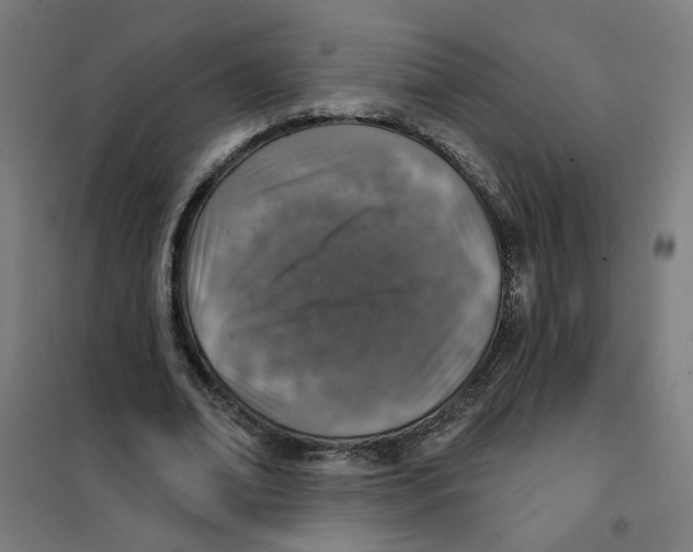 X0000101180678200807250940