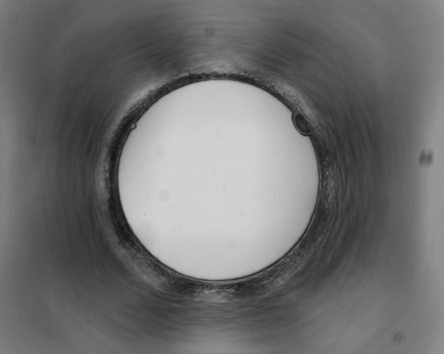 X0000101180680200807250940