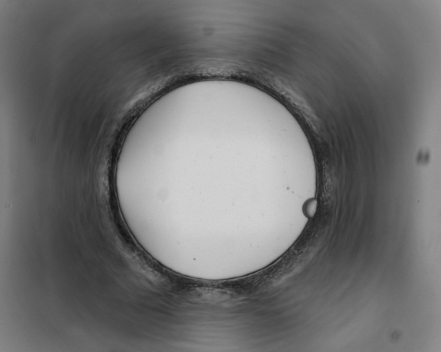 X0000101180681200807250940