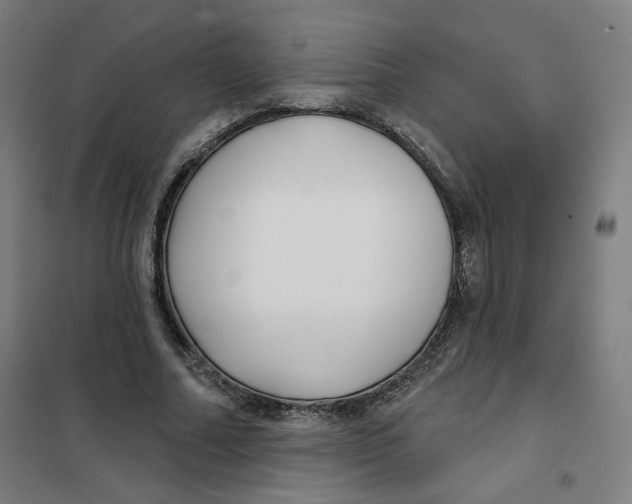 X0000101180682200807250940