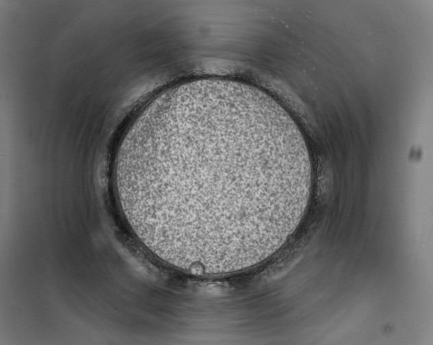 X0000101180683200807250940