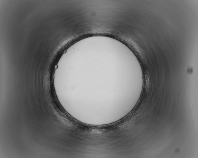 X0000101180684200807250940