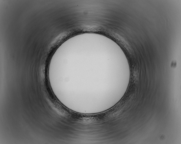 X0000101180686200807250940