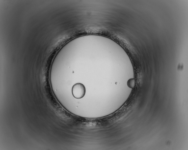 X0000101180687200807250940