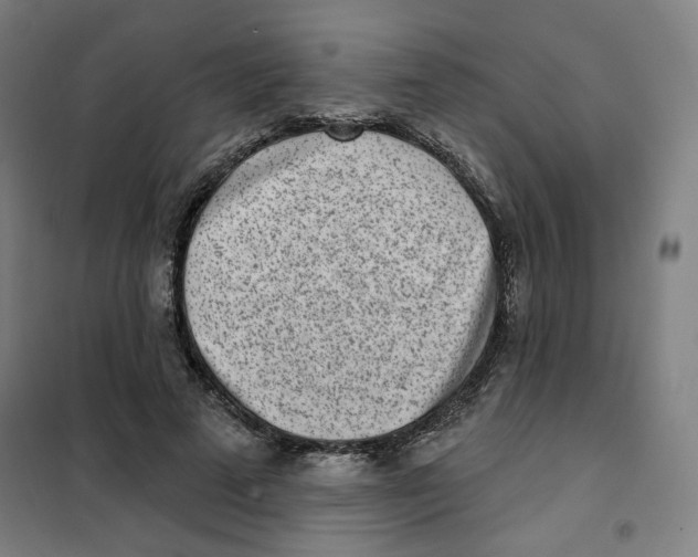 X0000101180689200807250940