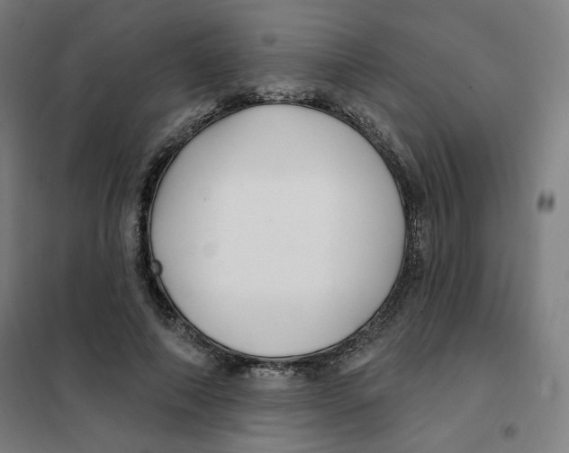 X0000101180690200807250940