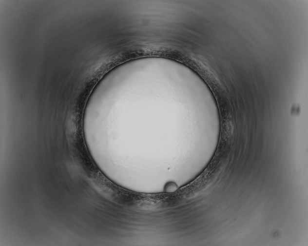 X0000101180691200807250940