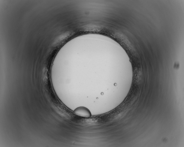 X0000101180692200807250940