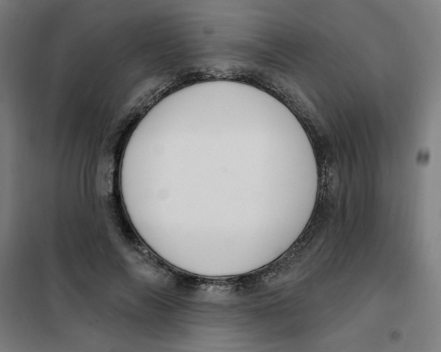 X0000101180694200807250940