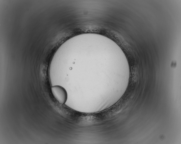 X0000101180695200807250940