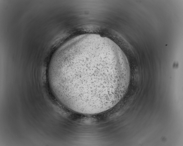 X0000101180696200807250940