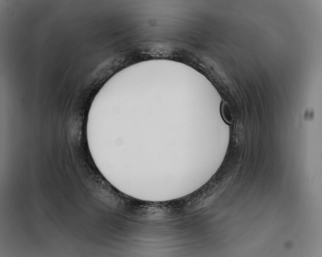 X0000101180697200807250940