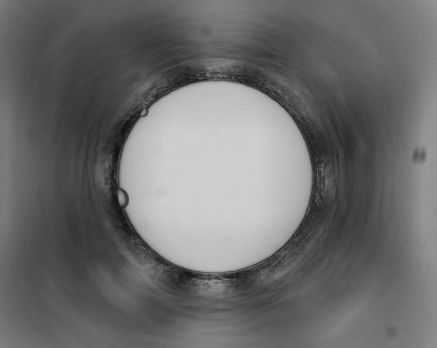 X0000101180698200807250940