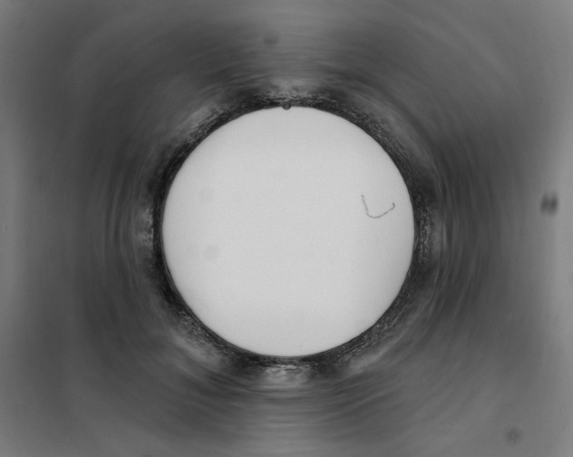 X0000101180700200807250940