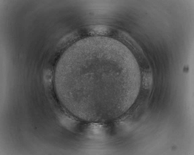 X0000101180701200807250940