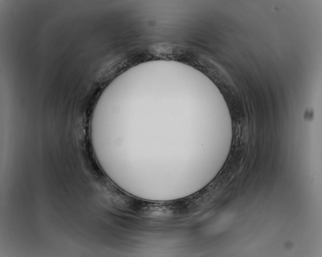 X0000101180702200807250940