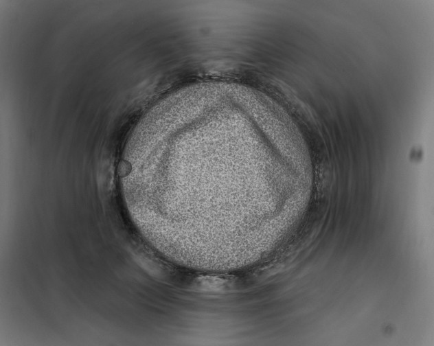 X0000101180703200807250940