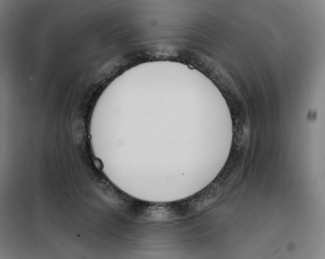 X0000101180704200807250940