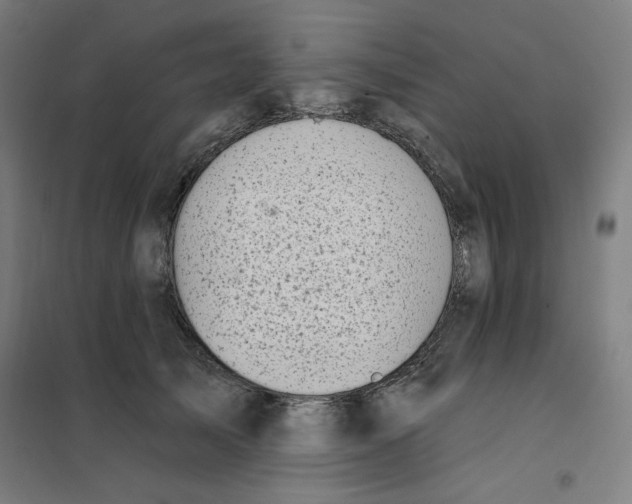 X0000101180705200807250940