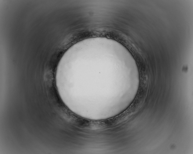 X0000101180707200807250940