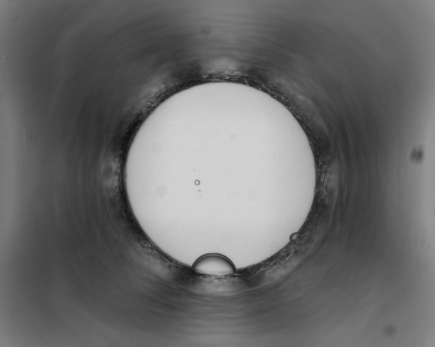 X0000101180708200807250940