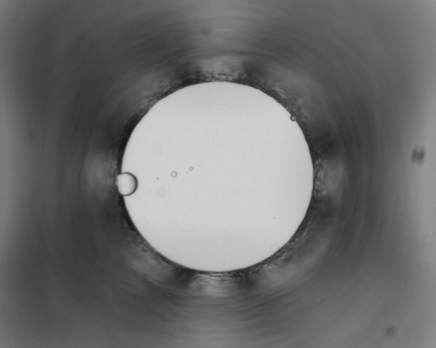 X0000101180713200807250940