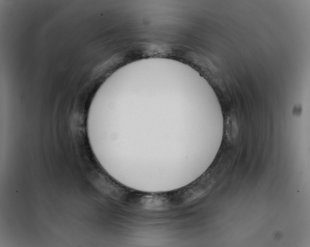 X0000101180714200807250940