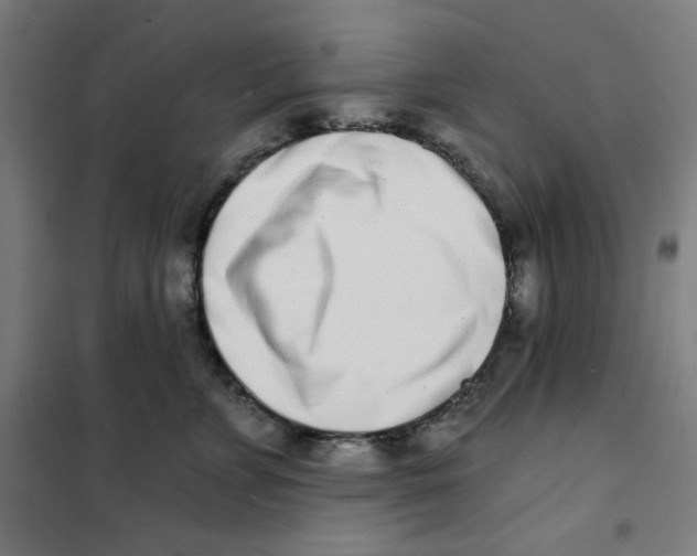 X0000101180715200807250940