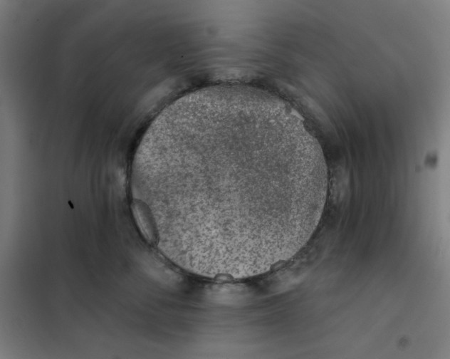 X0000101180716200807250940