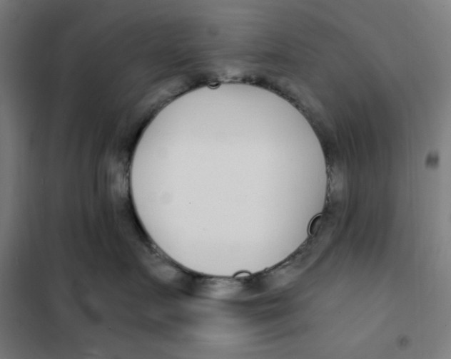 X0000101180719200807250940