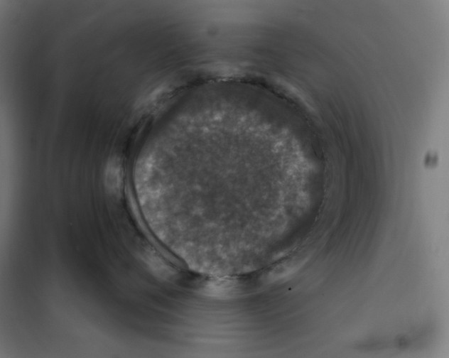 X0000101180720200807250939