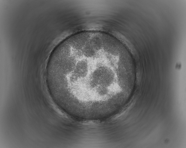 X0000101180721200807250939