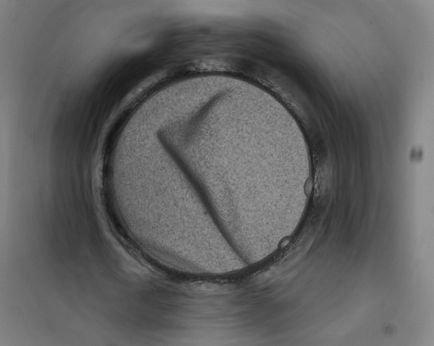 X0000101180722200807250939