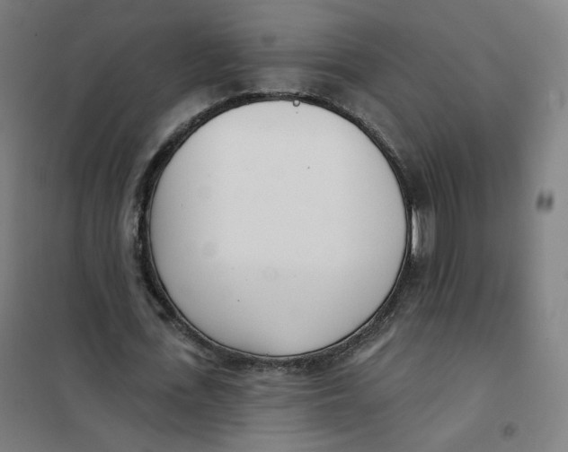 X0000101180723200807250939