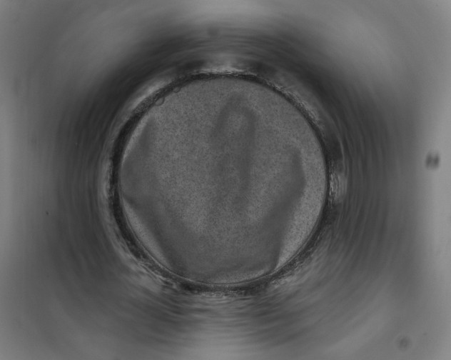 X0000101180724200807250939